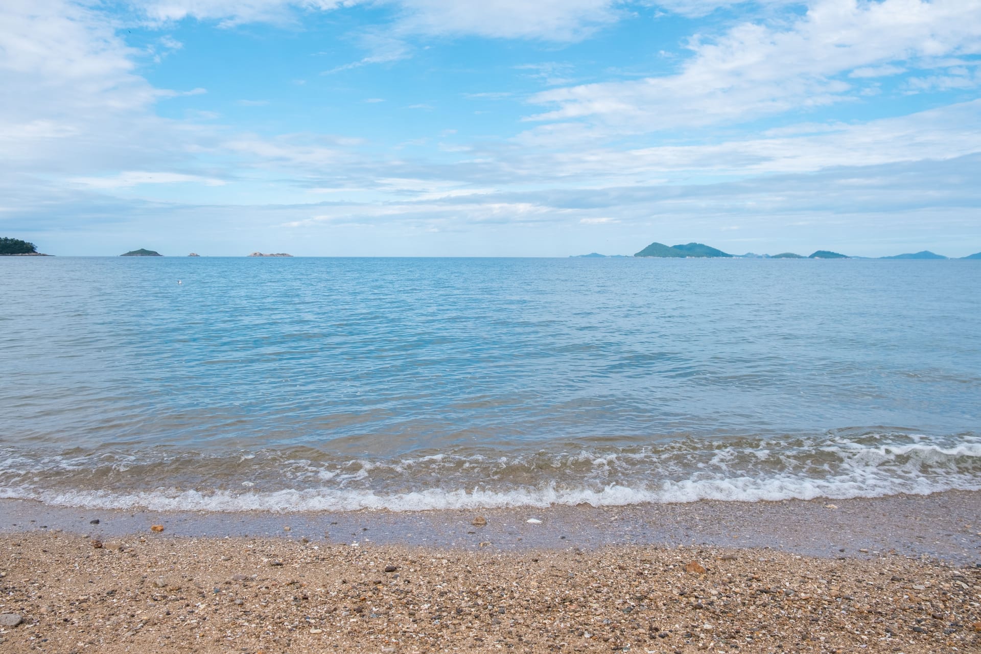 시민과학 데이터 — 19종 분류로 본 한국 해변의 풍경